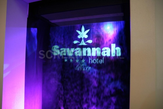 FogScreen: Savannah