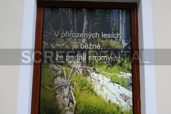 Vikuiti: Idina Pila, NP Šumava