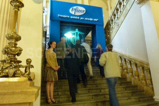 Prezentace Pfizer 